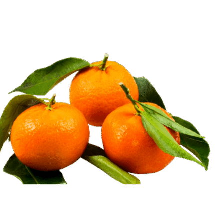 Mandarines