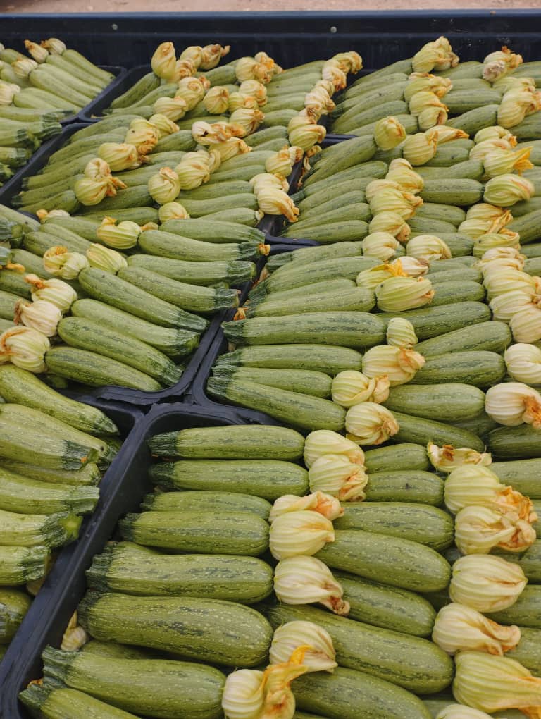 Courgettes