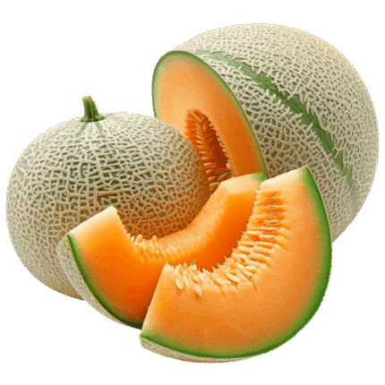 Melon